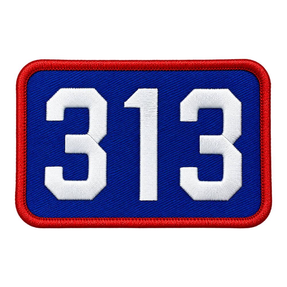 Patch - 313