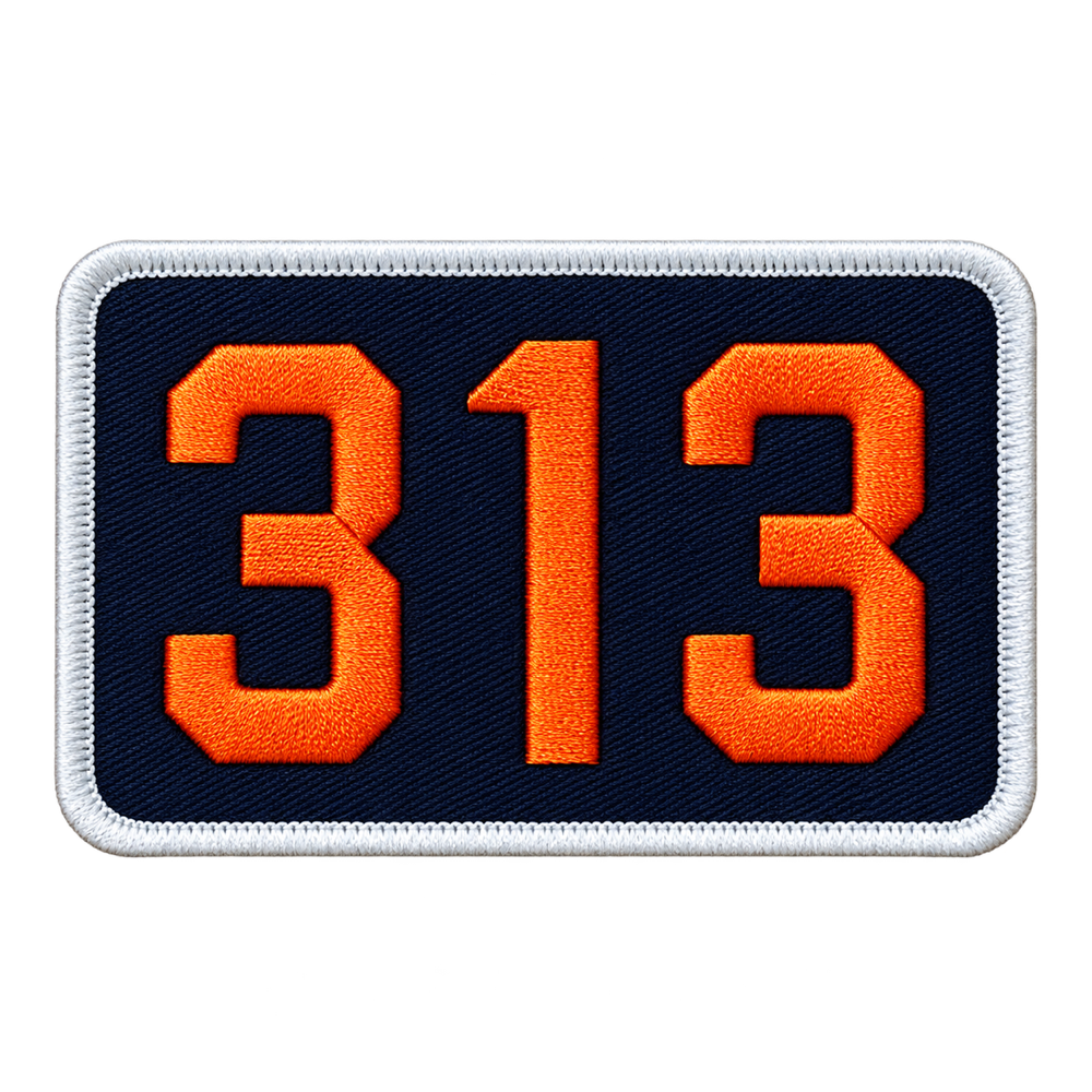 Patch - 313