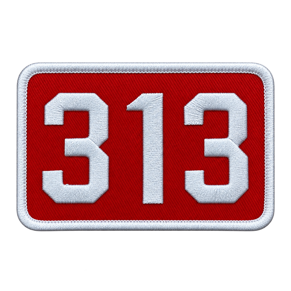 Patch - 313