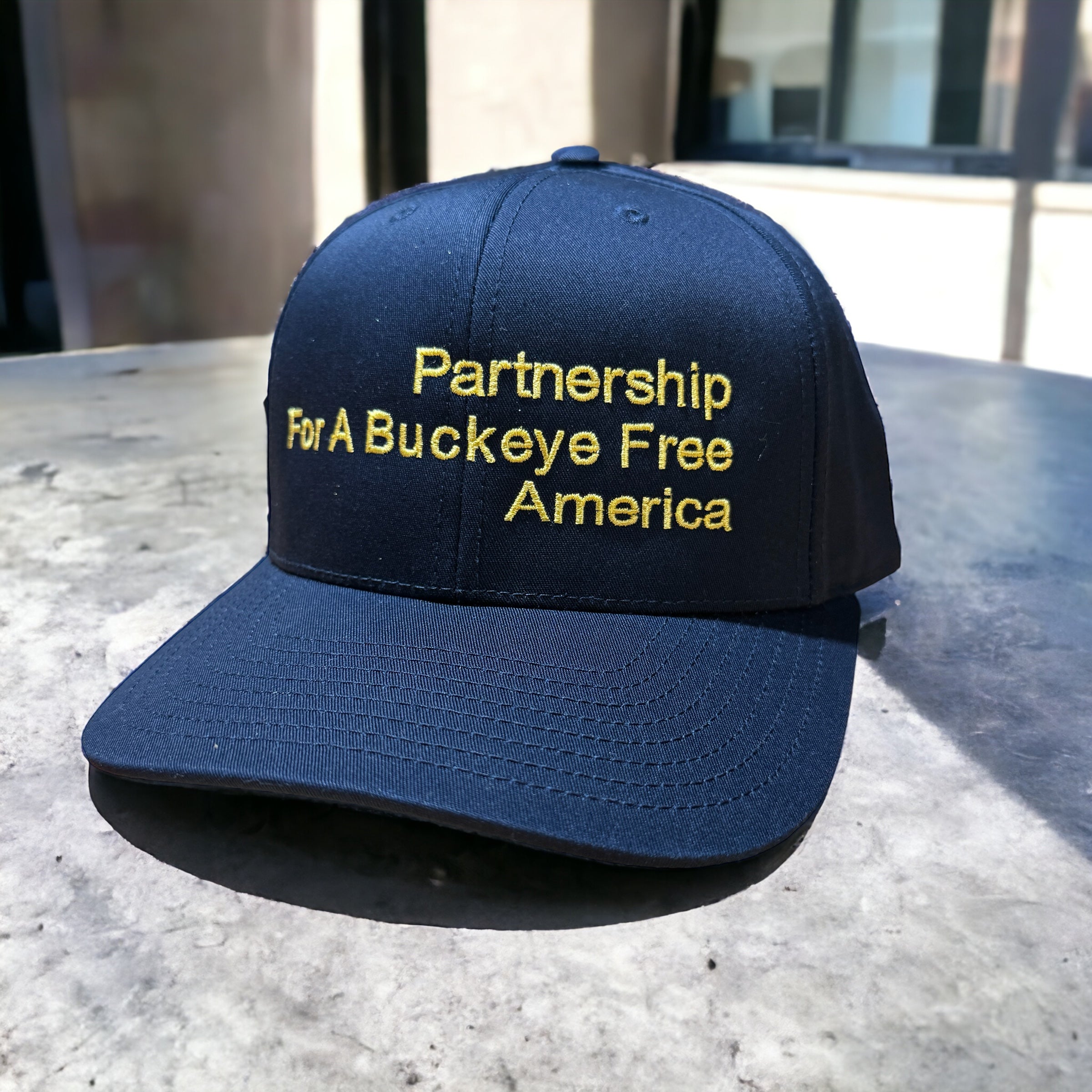 Hat - Partnership For A Buckeye Free America