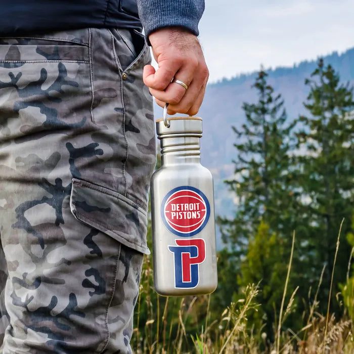 Detroit Pistons Perfect Cut Decal set 3.5"