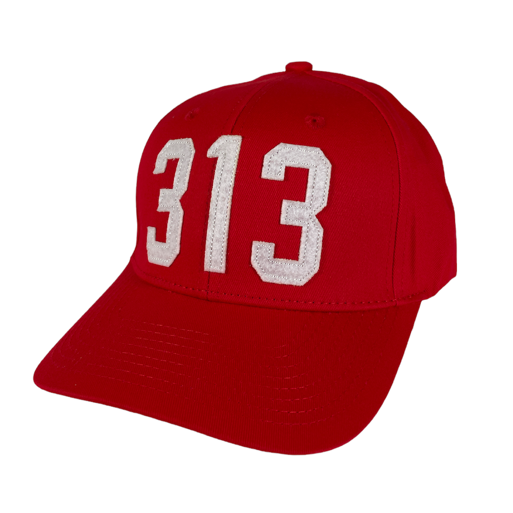 Hat - Detroit 313 - Multiple colors